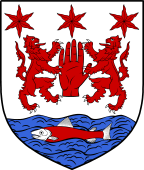 Irish Family Shield for O