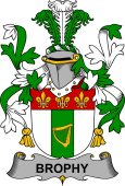 Irish Coat of Arms for Brophy or O