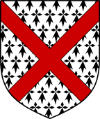 Irish Family Shield for O