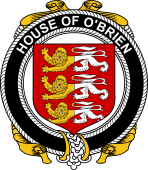 Irish Coat of Arms Badge for the O