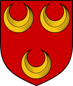 English Family Shield for Monins