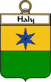 Irish Badge for Haly or O