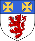 Irish Family Shield for O