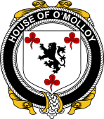 Irish Coat of Arms Badge for the O