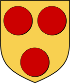 Irish Family Shield for O