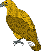 Birds of Prey Clipart image: Pallas