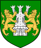 Irish Family Shield for O