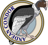 Birds of Prey Clipart image: Andean Condor-M