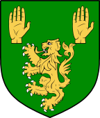 Irish Family Shield for O