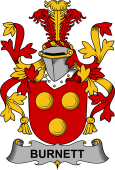 Irish Coat of Arms for Burnett