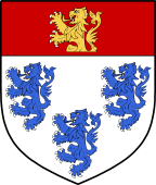 Irish Family Shield for O