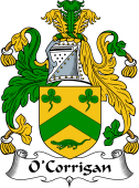 Irish Coat of Arms for O