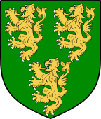 Irish Family Shield for O