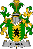 Irish Coat of Arms for Hara or O