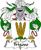 Portuguese Coat of Arms for Trigoso