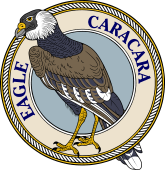 Brazilian Caracara Eagle-M