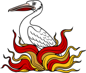 Pelican Issuing Out of Flames