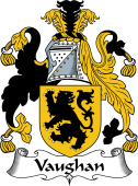 Irish Coat of Arms for Vaughan