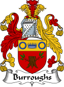 Irish Coat of Arms for Burroughs