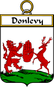 Irish Badge for Donlevy or O