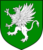 Irish Family Shield for O