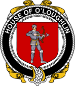 Irish Coat of Arms Badge for the O