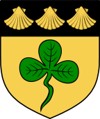 Irish Family Shield for O