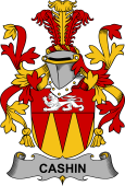 Irish Coat of Arms for Cashin or McCashine