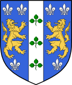 Irish Family Shield for O