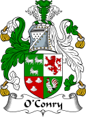 Irish Coat of Arms for O