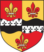 Irish Family Shield for Hicks (Wicklow)