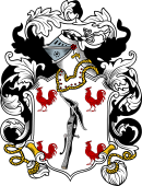 English or Welsh Coat of Arms for Homer (Ref Burke