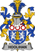 Irish Coat of Arms for Hoolihan or O