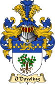 Irish Family Coat of Arms (v.23) for O