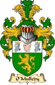 Irish Family Coat of Arms (v.23) for O