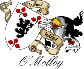 Sept (Clan) Coat of Arms from Ireland for O