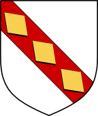 Irish Family Shield for O