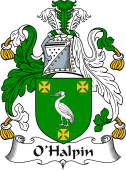 Irish Coat of Arms for O