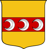 Italian Family Shield for Strozzi