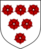 Irish Family Shield for Fitz-Row