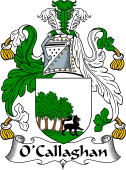 Irish Coat of Arms for O