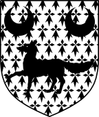 Irish Family Shield for O