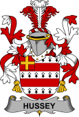 Irish Coat of Arms for Hussey or O