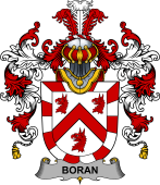 Irish Family Coat of Arms (v.25b) Boran or O