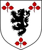 Irish Family Shield for O