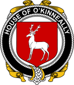 Irish Coat of Arms Badge for the O