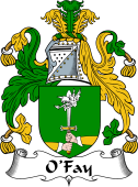 Irish Coat of Arms for O