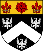 English Family Shield for Raymond