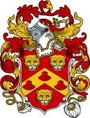 English or Welsh Coat of Arms for Eyre