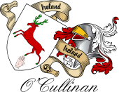 Sept (Clan) Coat of Arms from Ireland for O